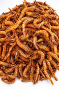 Prawns – Fresh, Premium Quality Seafood